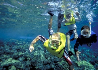  Snorkeling expedition 